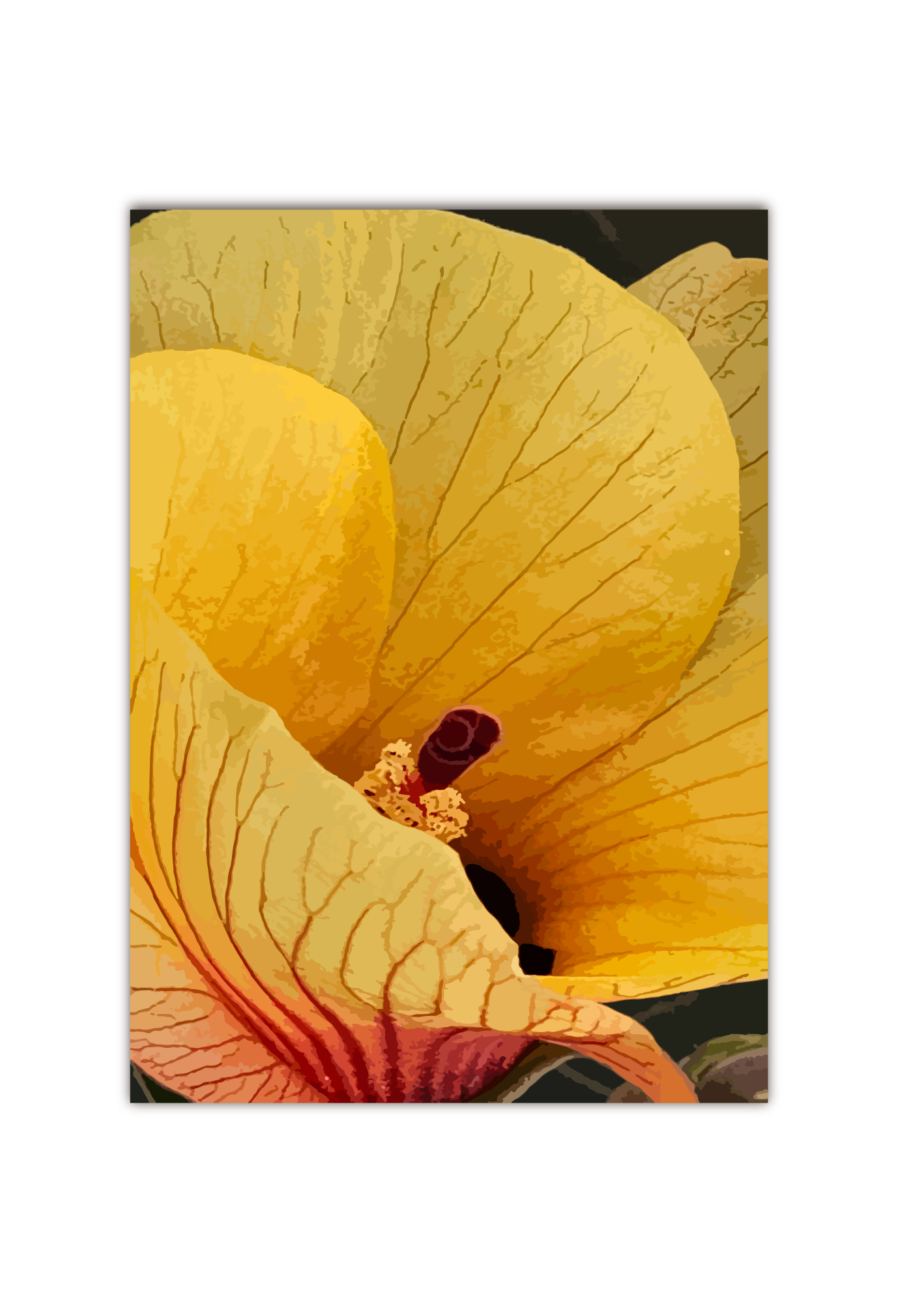 Three stages of blossom