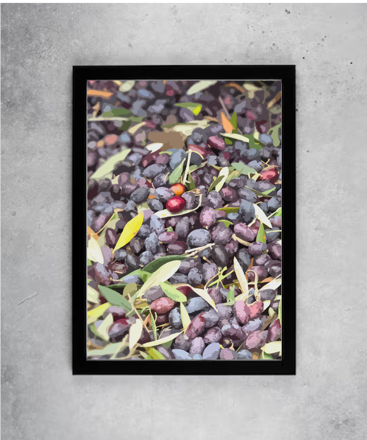 Olives of the tree